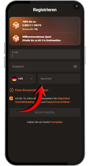 Eingabe der Registrierungsdaten
