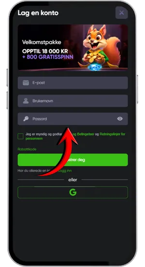 Inmatning av registreringsuppgifter