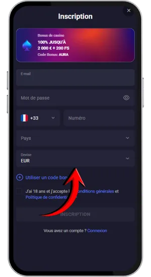 Saisie des informations d’inscription